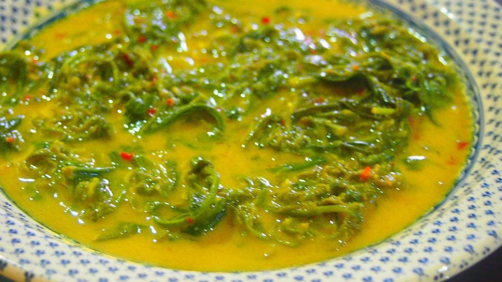 Pucuk Paku Masak Lemak
